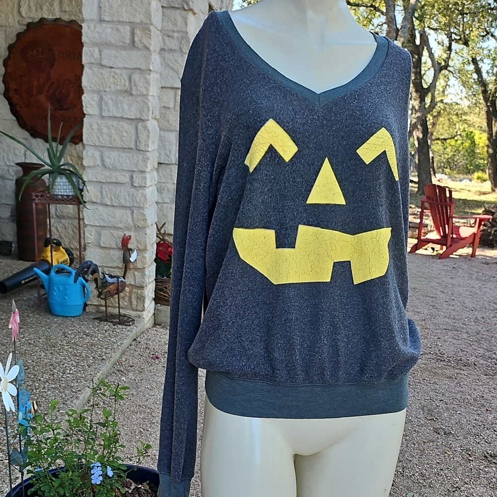 WILDFOX Los Angeles Soft Fluffy Grey Sweatshirt V Neck Pullover Pumpkin Face M